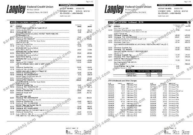 USA Langley Federal Credit Union bank statement, 6 pages 2